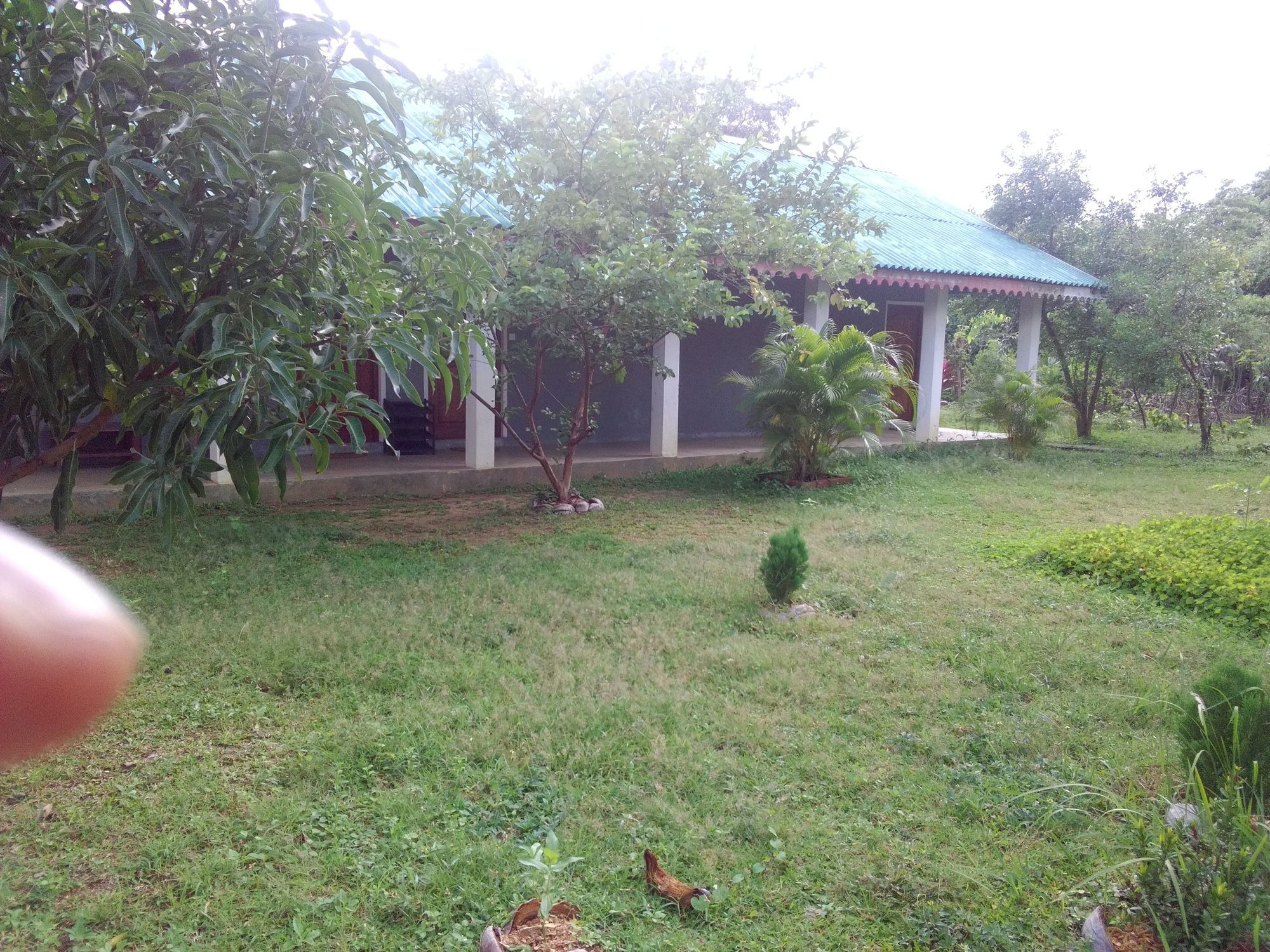 Sinhagiri Villa Σιγκιρίγια Εξωτερικό φωτογραφία