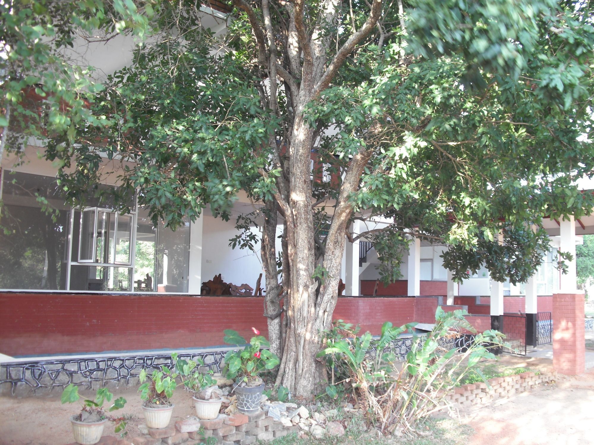 Sinhagiri Villa Σιγκιρίγια Εξωτερικό φωτογραφία